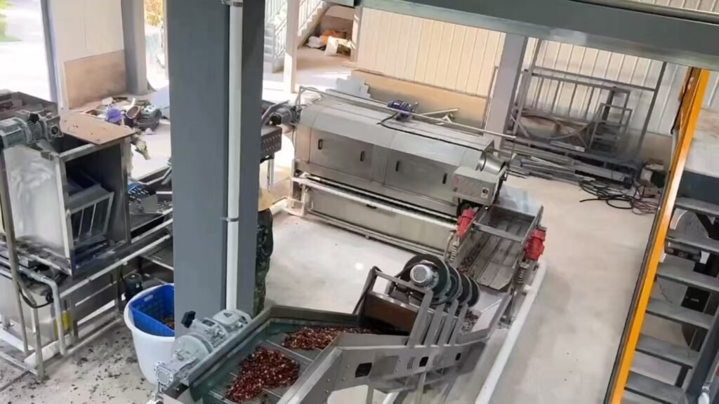 coffee cherry processing line